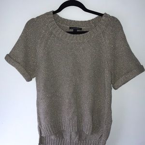Glittery Banana Republic sweater